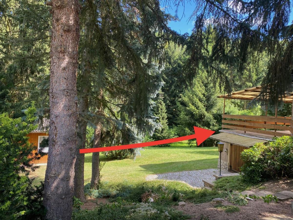 Villa Residenz Waldfrieden à Garnsdorf Extérieur photo